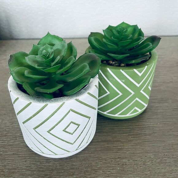 2-pc Succulent Greenery Artificial Boho Modern Potted Plants Lot - Picture 1 of 2